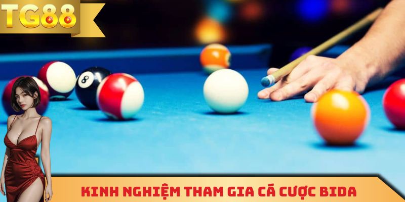 Kinh nghiệm chơi cá cược bida hiệu quả hàng đầu 2026